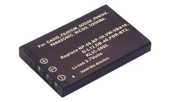 DXG-589V Battery