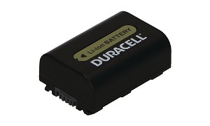 HDR-TG7VE Battery (2 Cells)