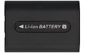 HDR-TD10 Battery (2 Cells)